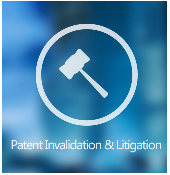 Patent Invalidation & Litigation