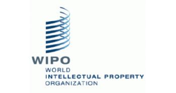 WIPO Report: China PCT Application Grows Fastest in 2014